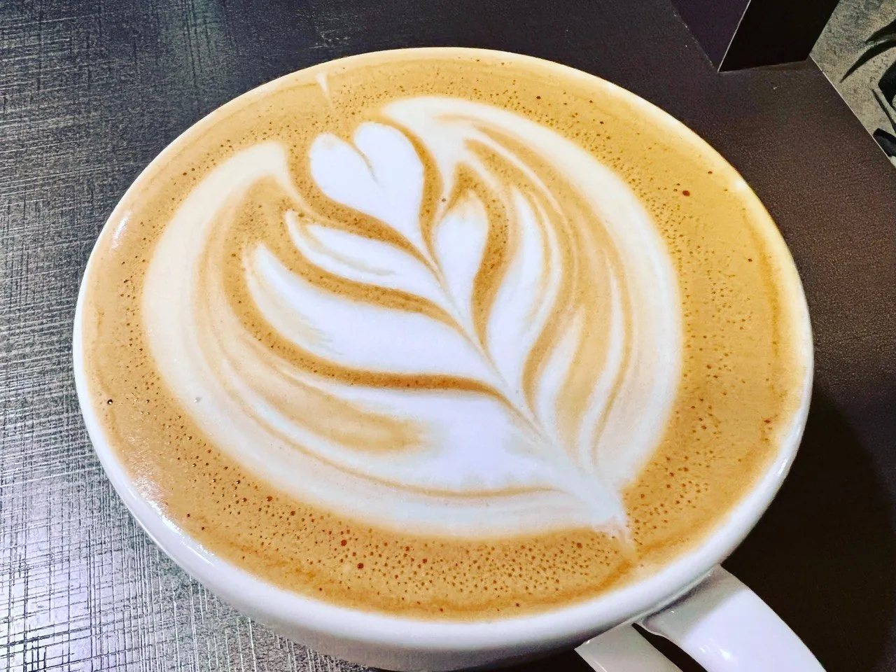 Vista de cima de uma xícara branca com latte art em formato de ramo.